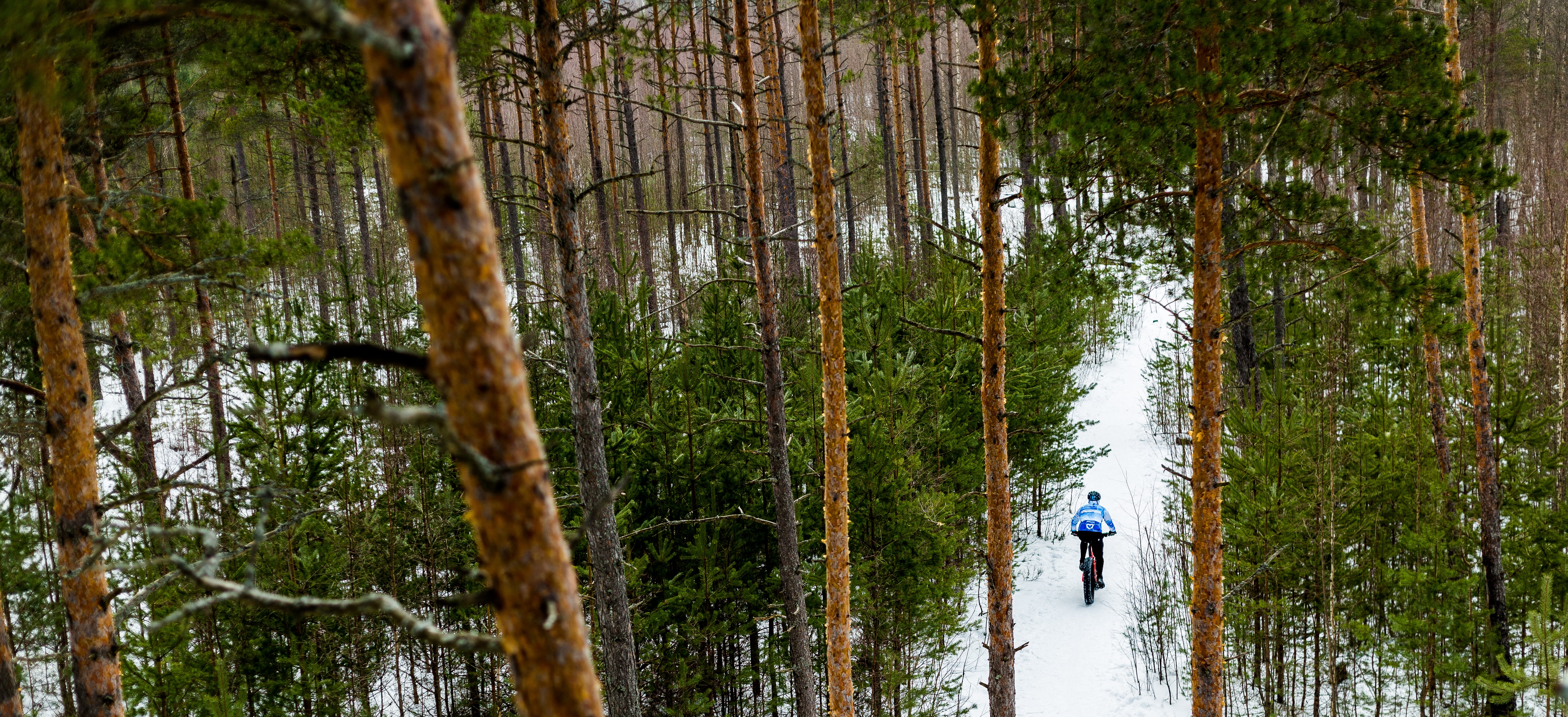 Pyöräilijä talvisessa metsässä