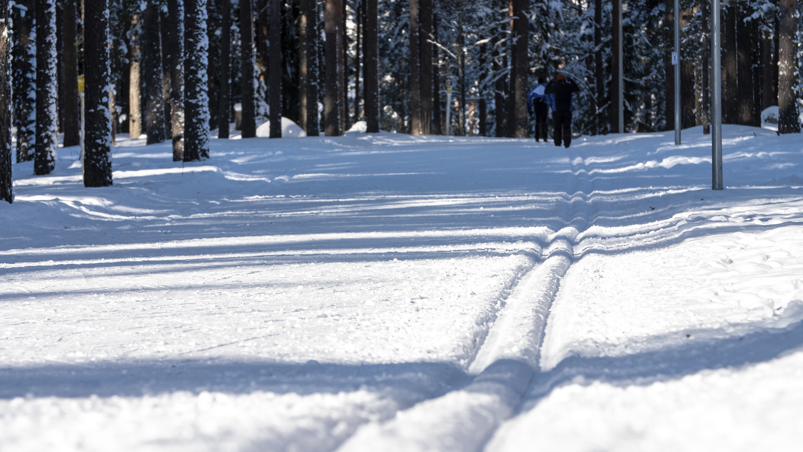 Hiihtolatu metsässä, kuva: Joenrinne Films