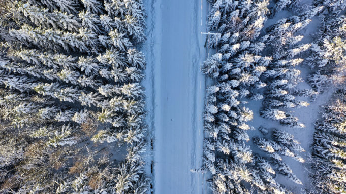 Talvinen metsä ja tie, kuva: Joenrinne Films