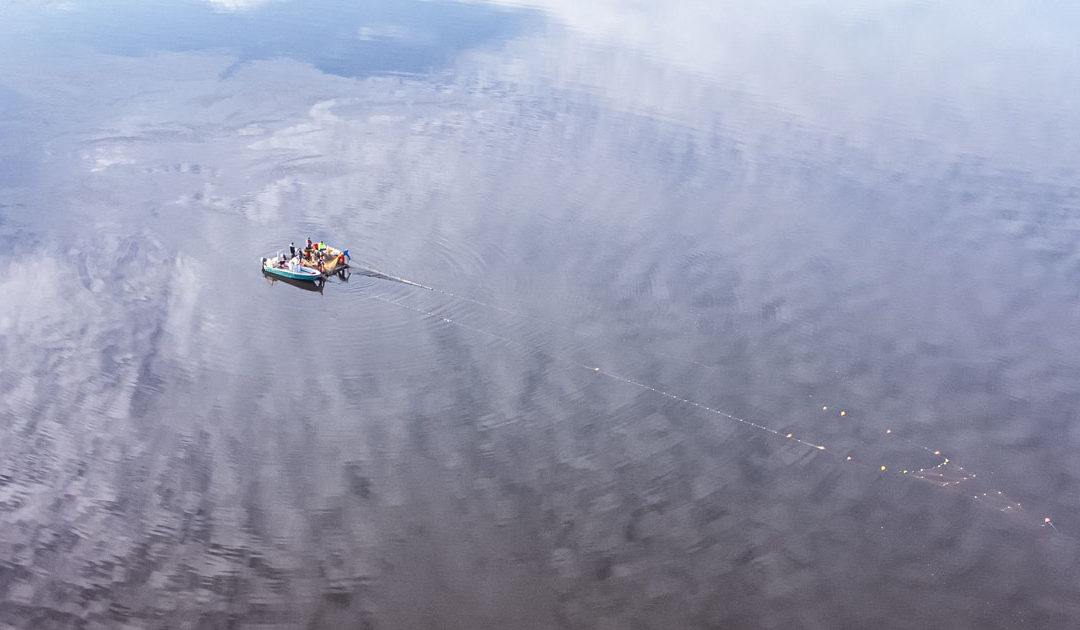 Kalastusalus vetää nuottaa, kuva LUVY, kuvaaja Satu Mali