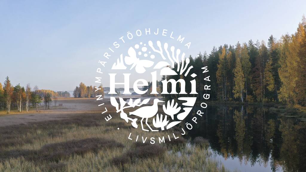 Helmi-verkoston logo