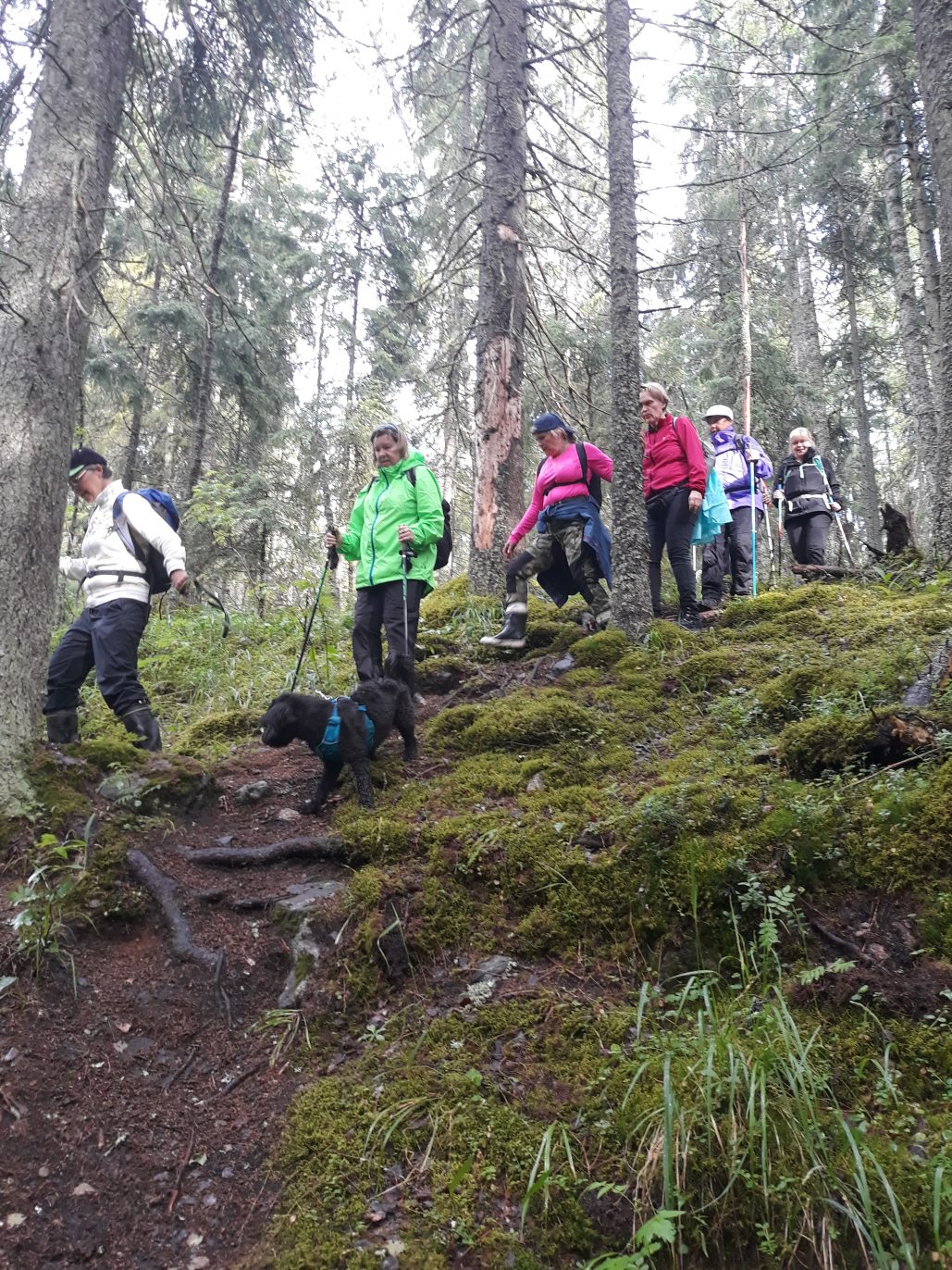 Metsässä ihmiset retkeilevät