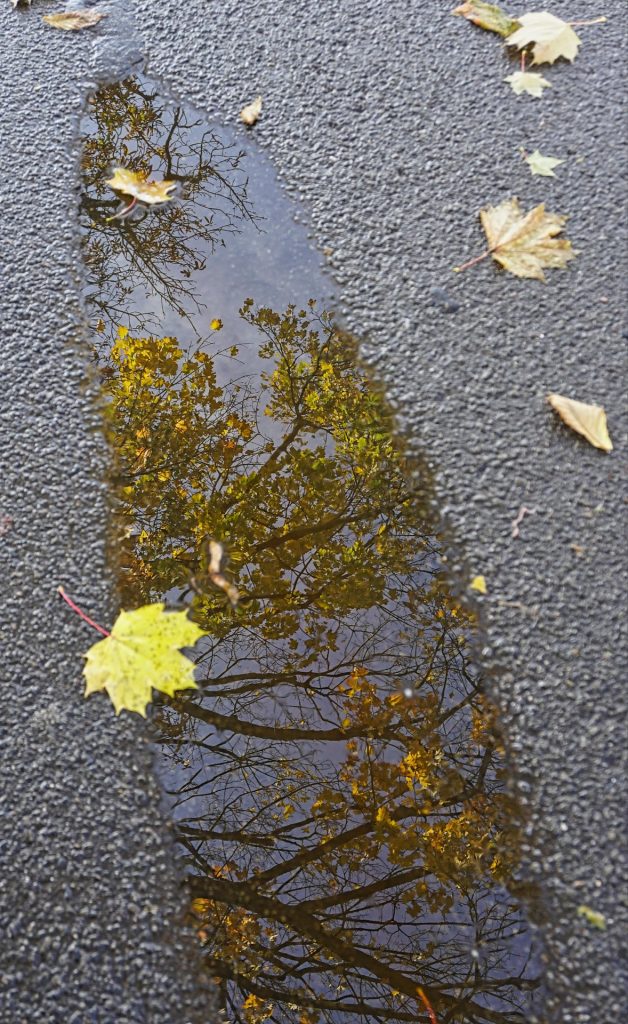 Vesilätäkkö