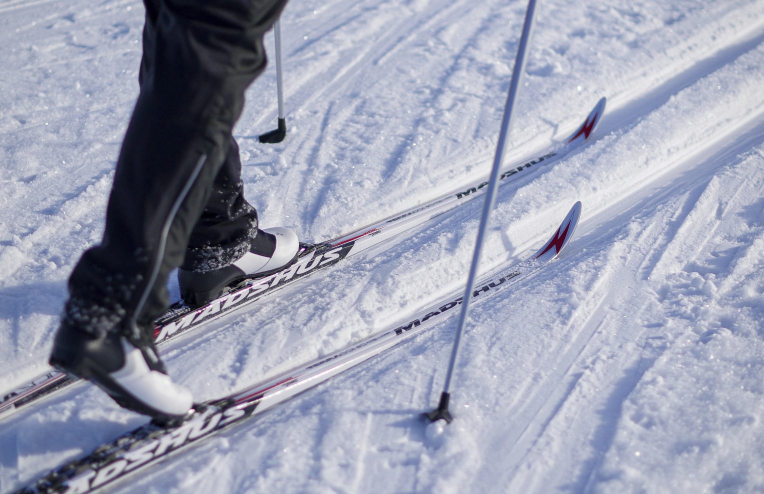 Hiihtäjä ladulla - kuva Joenrinne Films