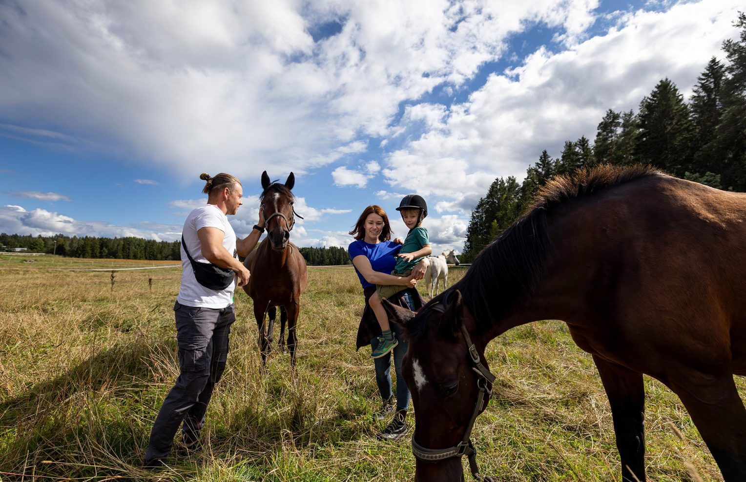 Perhe ja hevoset niityllä