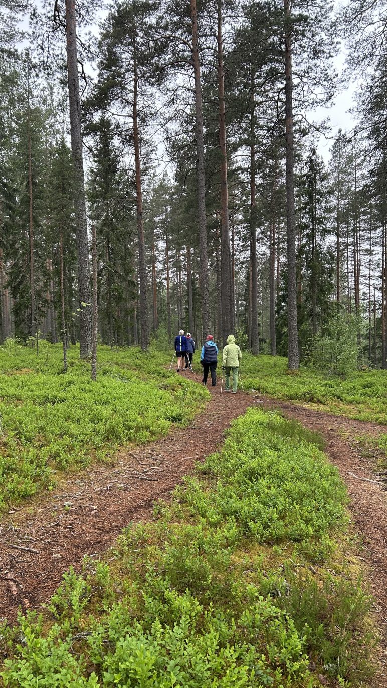 Ihmiset ulkoilevat metsässä polulla